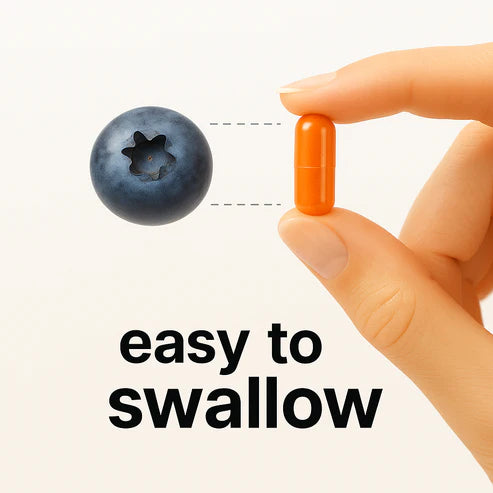 Nivelle® Turmeric Curcumin 12 Nivelle® Turmeric Curcumin