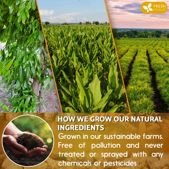 Nivelle® Turmeric Ginger Cinnamon Tea